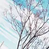 Abraham Bolaños - @abraham.bolaos3 - TikTok