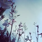 Abraham Bonner - @smugtionsfuzzy - Instagram