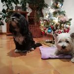 Abraham Bosch Gràcia - @abraham_112001 - Instagram