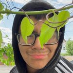 Abraham Bosque - @abosque2 - Instagram