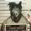 Abraham Botello - @abraham.botello4 - TikTok