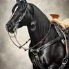 abrahambotello84 - @abrahambotello84 - TikTok