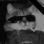 Brei Abraham - Facebook