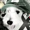 abraham c. - @abrahamcabrera691 - TikTok