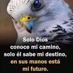 Abraham cain caranqui - @abrahamcaincaranqui - Instagram