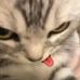 Ivy Corfield - Facebook