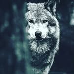 abrahamcanul - @abraham__canul56 - Instagram