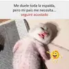 Abraham Casas - @abrahamcasas1983 - TikTok
