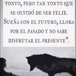 Abraham Catalan - @abrahamcatalanr - Instagram