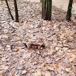 abraham chang - @peef2 - Instagram