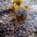 Abraham Chang - Facebook