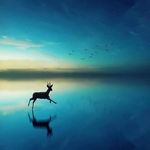 Abraham Charles - @abraham.charles.526 - Instagram