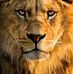 Abraham Charles - Facebook