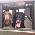Abraham Clement - @rose.ward.14268769 - Instagram