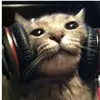 aychi - @abrahamdavidcura - TikTok