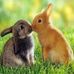 Abraham Dager - Facebook