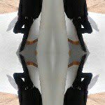 Abraham daud - @abraham_daudi - Instagram