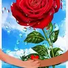 Abraham Dawson - @abraham.dawson - TikTok