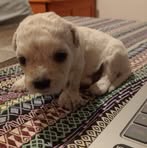 Abraham De Dedios - Facebook