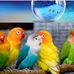Abraham Deeb - Facebook