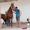 Abraham Diaz - @abraham.diaz064 - TikTok