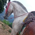Abraham Dubon - Facebook