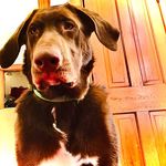 Abrahamdukes - @dukes_junior - Instagram