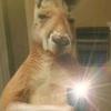 abraham duque - @abraham.duque1 - TikTok