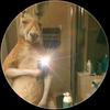 Abraham Mena Duque - @abrahamshoduque.01 - TikTok