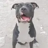 Abraham Eduardo Moreno García - @abraham.eduardo.m3 - TikTok