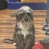 Eibrajam - @abraham.eduardo - TikTok