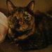 Robin Einhorn - Facebook