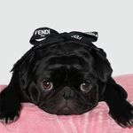 Abraham Espindola - @abraham.espindola.50 - Instagram
