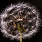 Abraham Estes - Facebook