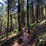 Abraham Everett Thorne - @abethorne - Instagram