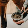ABRAHAM FARRIER - @abraham.farrier - TikTok