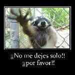 fausto - @fausto_abraham - Instagram