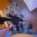 Abraham Favela - Facebook