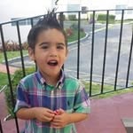 Abraham Finkelstein - @abrahamfinkelstein - Instagram