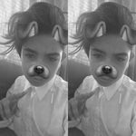 abrahamfox - @abrahamfox08 - Instagram