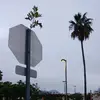 Abraham Gonsalez - @abraham.gonsalez06 - TikTok