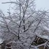 abrahamgray720 - @abrahamgray720 - TikTok
