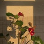 Leonor Schiessl - @abrahamhasselmann283 - Instagram