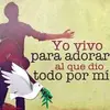 Willie - @abrahamjacinto446 - TikTok