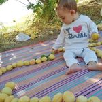 ebrahim - @abraham.karami - Instagram