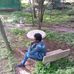 Abraham Kebede Daba - Facebook