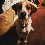 Abraham Kent - @_abraham.k - Instagram