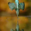 Abraham Key - @abraham.key - TikTok