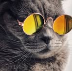 Abraham Meza - Facebook