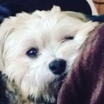 abraham olivera - @abrahamolivera5140 - Instagram